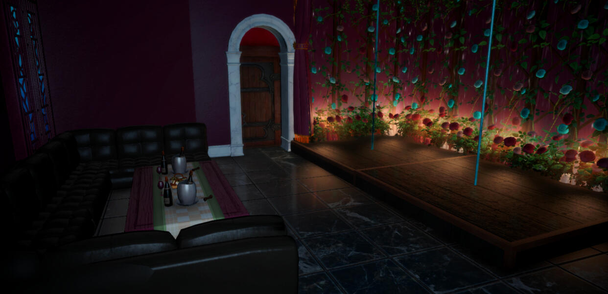 Enjoy our private VIP Room!